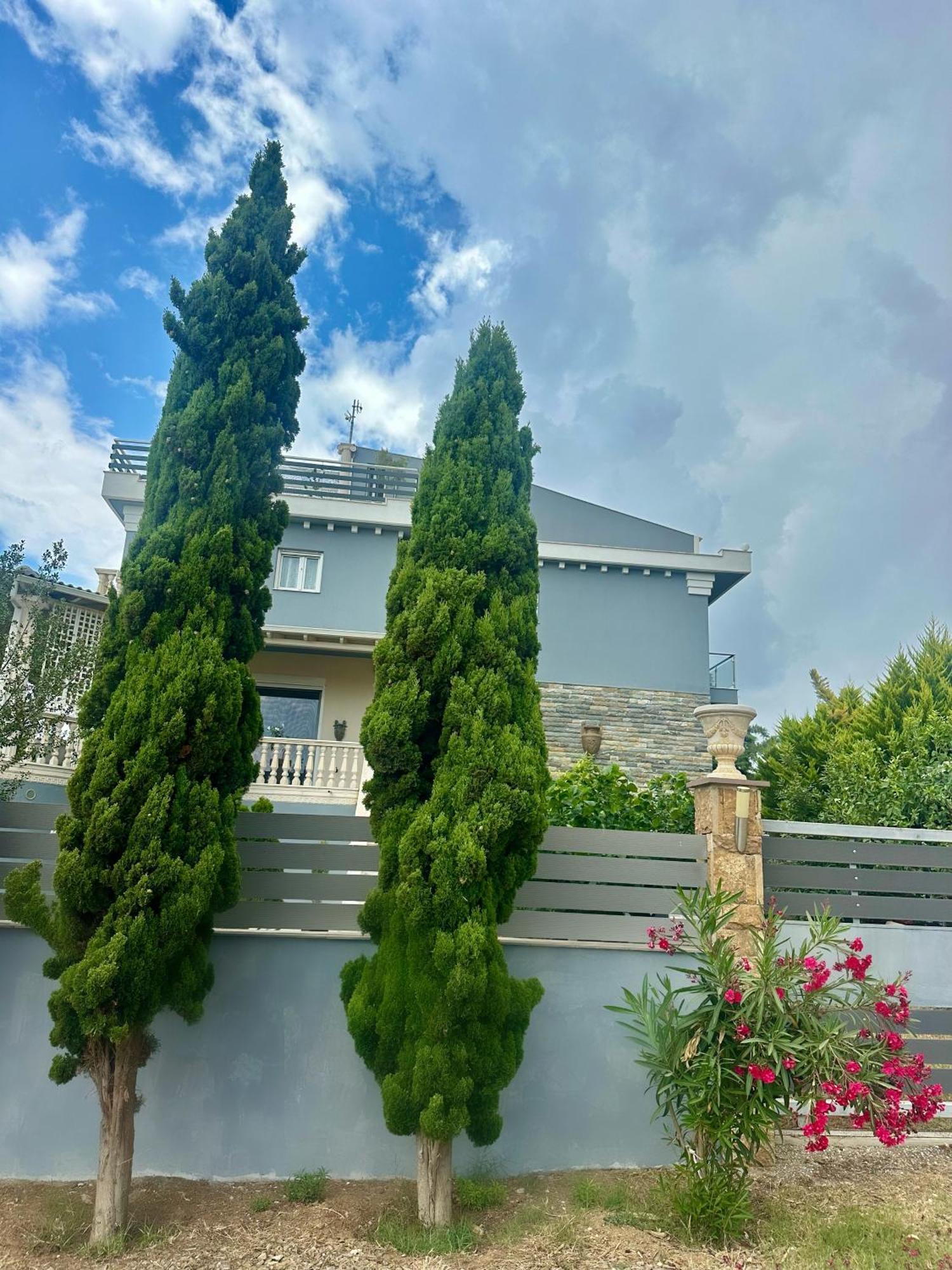 Villa Spartandom Gerakini Exterior photo